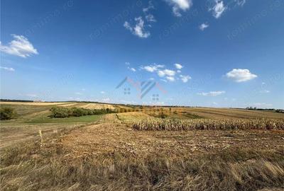 Teren de 2877 mp, în Cordău - 3