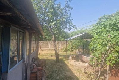 Casă cu Teren 2000 Mp în Izimșa - 5