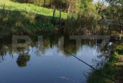 Teren intravilan 1150 mp cu cabana si balta, Sat Craesti - 2