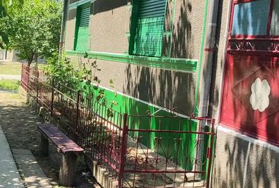 Casă cu 6 camere cu Teren 2880 Mp în Mișca - 4