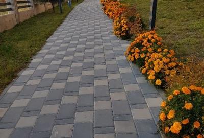 3 camere,  bloc nou, Tomis N. - 7
