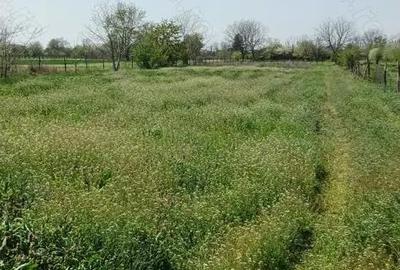 Teren de 6022 mp, în Ogrezeni - 6