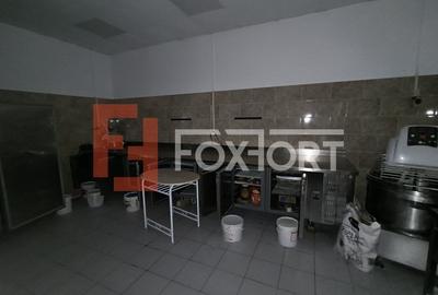Spatiu comercial + casa individuala 3 camere, garaj dublu, Freidorf - 4