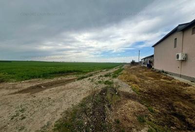 Balaceanca- teren  intravilan, toate utilitatile, 9740 mp, - 5