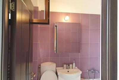 Garsoniera Pod Constanța/ Bucurestii Noi / Chitila - 13