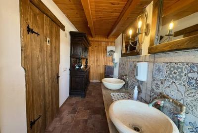 Complex Logistic 7ha de vanzare cu service, parcare, birouri-Vama Bors Complex Logistic 7ha de vanzare cu service, parcare, birouri-Vama Bors - 21