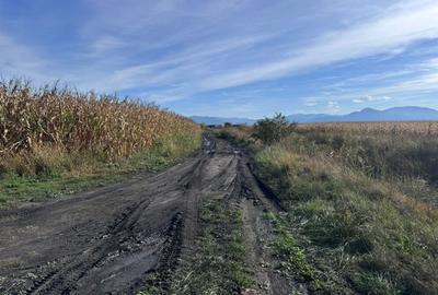 Teren de vanzare in Harman 4,4 Hectare - 3