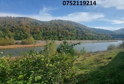 Teren deosebit, la munte, Dragoslavele, Rucar, Arges, doar 6 euro/mp! - 4