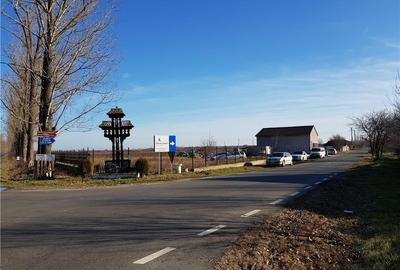 Teren de 3660 mp, în Ciolpani - 10