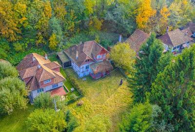 Casa traditionala de vacanta | 3 camere | BRAN | COMISION 0 | Casa traditionala de vacanta | 3 camere | BRAN | COMISION 0 | - 26