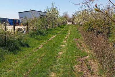 Spațiu comercial, în Agigea - 8