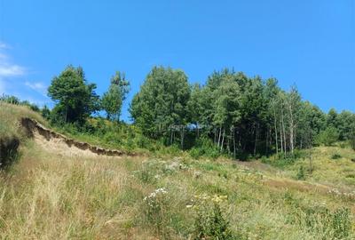 Teren de 4500 mp, în Brebu - 6