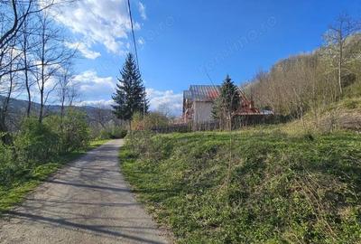 Teren în Brebu - 4