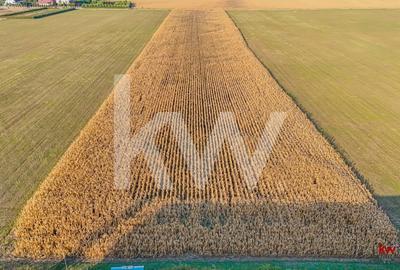 Teren industrial 6100 mp. cu PUZ in Cristian BV - 6