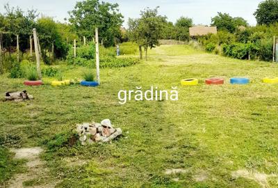 Casă cu 3 camere în Central