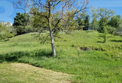 Casă cu 4 camere cu Teren 3166 Mp în Bejan - 8