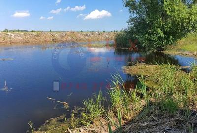 Casă cu 4 camere cu Teren 2514 Mp în Dunavățu de Sus - 5