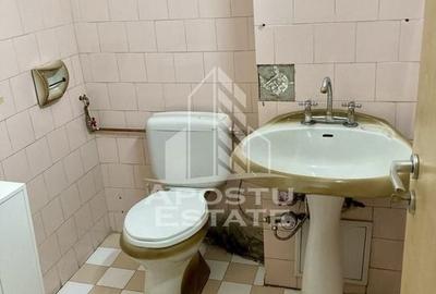 Apartament 3 camere , Pet Friendly, Centrala proprie ,Lipovei - 7