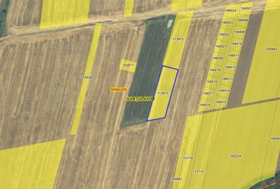 Teren intravilan Snagov / Tancabesti / 3.293 mp / D: 36.57 m / comision 0% - 4