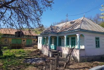 Casă cu 4 camere cu Teren 1048 Mp în Valea Seacă - 11