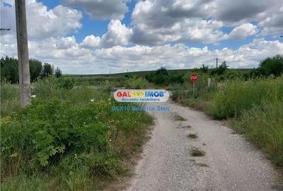 Vanzare loturi teren FUNDULEA / LACUL DARVARI cu mare potential - 6