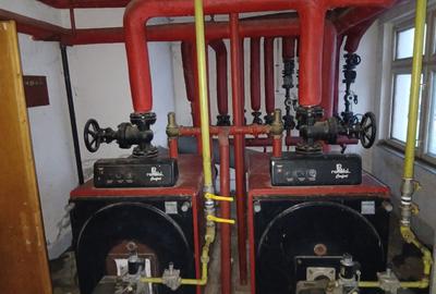 Casă cu 4 camere în Băcia - 2