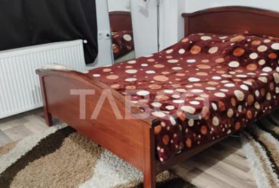 Casa individuala de vanzare cu 2 camere 1150 mp teren Seica - 15