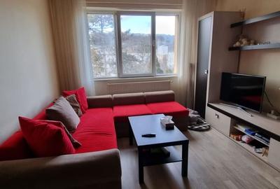 Apartament cu 2 camere în Grigorescu - 5