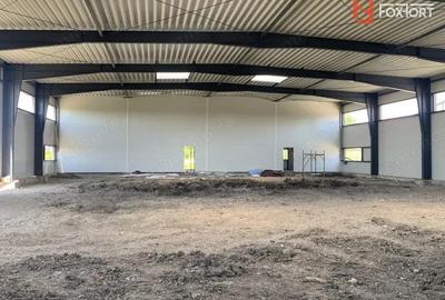 Hala de inchiriat cu platforma betonata de 1334 mp, zona Sanandrei - 3