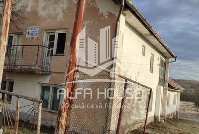 Casă cu Teren 825 Mp în Lăpușnicu Mare