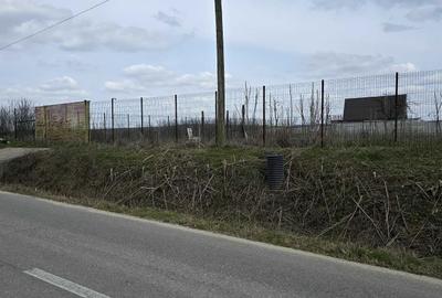 Spațiu comercial, în Almăj - 3