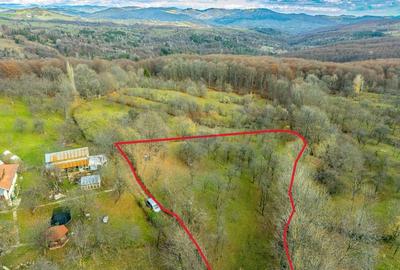 Teren intravilan 4384 mp - Comuna Talea,  judetul Prahova - 1