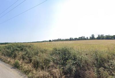 Forotic, Teren Drept Pentru Investitie, 13.2 Hectare (132.00 - 7