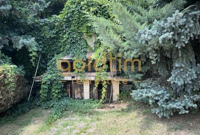 VILA MEDITERANEANA-IESIRE CATRE LAC 100MP/PONTON/PISCINA/DEBARCADER/SNAGOV/2006 - 55