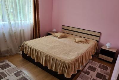 Inchiriez apartament 2 camere zona Turnisor - 6