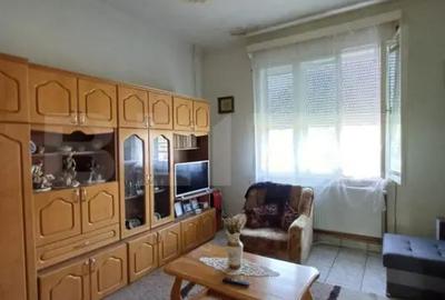 Casă cu 4 camere cu Teren 1860 Mp în Viișoara - 2