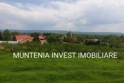Casă cu 4 camere în Băjești - 13