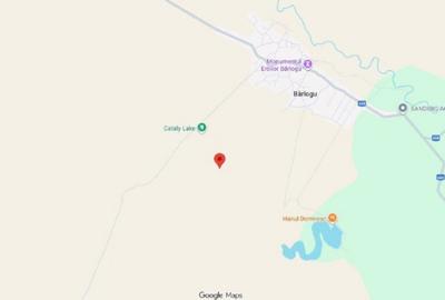 Teren de 6700 mp, în Bârlogu - 4