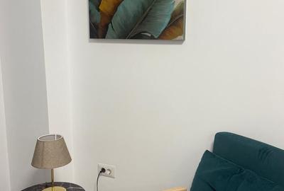 Garsonieră decomandată în Podu Roș - 11