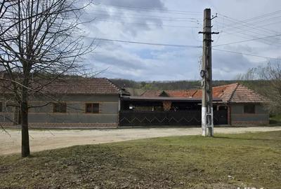 Vand casa la tara - 3