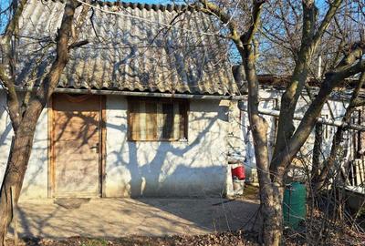 Casă cu 1 camere în Niuved - 3