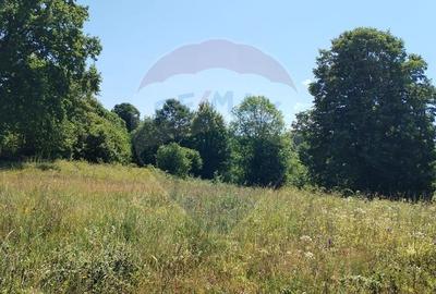 Teren Construcții intravilan de 3871 mp, în Vărmaga - 10