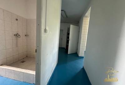 Spatiu industrial - productie alimentara de vanzare str. Fabricilor - 9