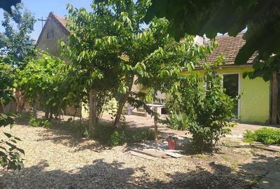 Casă cu 3 camere cu Teren 750 Mp în Grădiște - 2