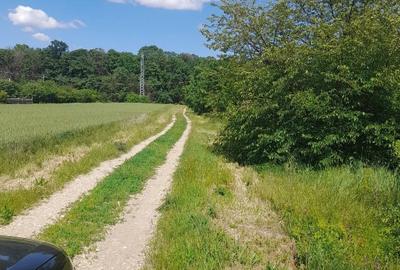 Teren agricol extravilan de 2465 mp, în Tărtășești - 3