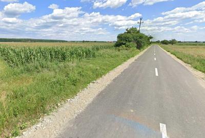 Teren de 3200 mp, în Dragomirești - 3