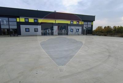 Spatiu industrial hala noua Carrefour Militari - 10