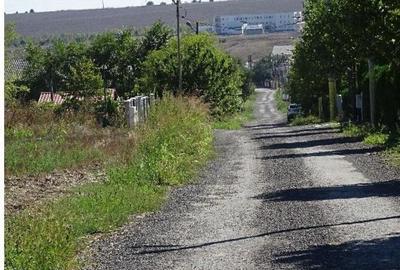 Teren intravilan Valu lui Traian, cota parte 3/48 ; ID: R... - 4