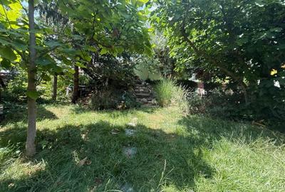 Casa individuala, spatioasa, 6 camere, 147 mp utili - zona Fratelia - 19