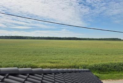 Casă finisată în Vladimirescu 154 mp teren 343 mp, vedere spre pădure - 16